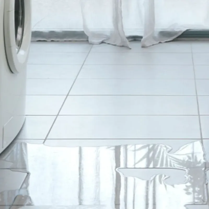Appliance Leak Cleanup in Cross Lanes, WV