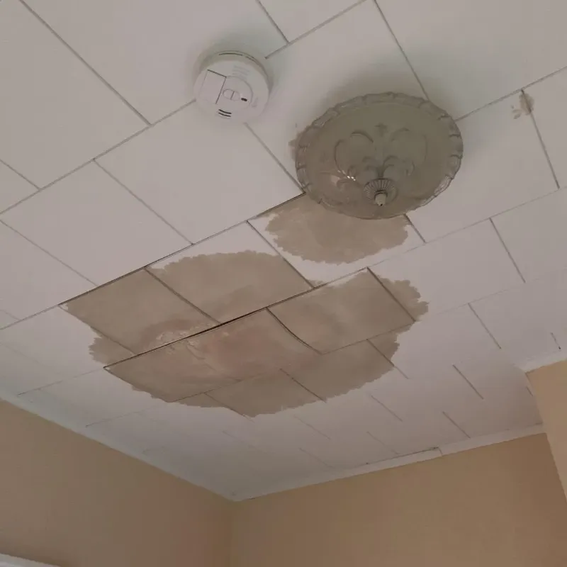Ceiling Water Damage Repair in Cross Lanes, WV