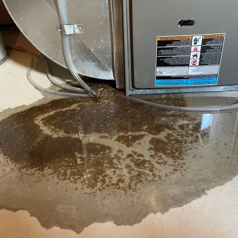 Pipe Burst and Leak Restoration in Cross Lanes, WV