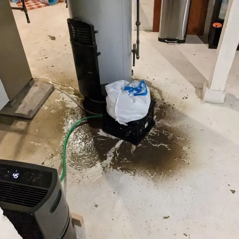 Sewage Backup Cleanup Service in Cross Lanes, WV